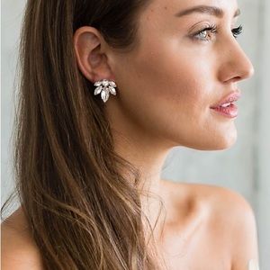 swarovski crystal and sterling cluster earrings